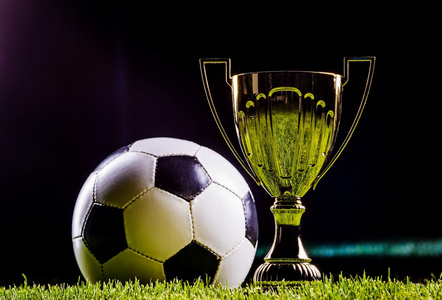 的全面能力 的全面能力