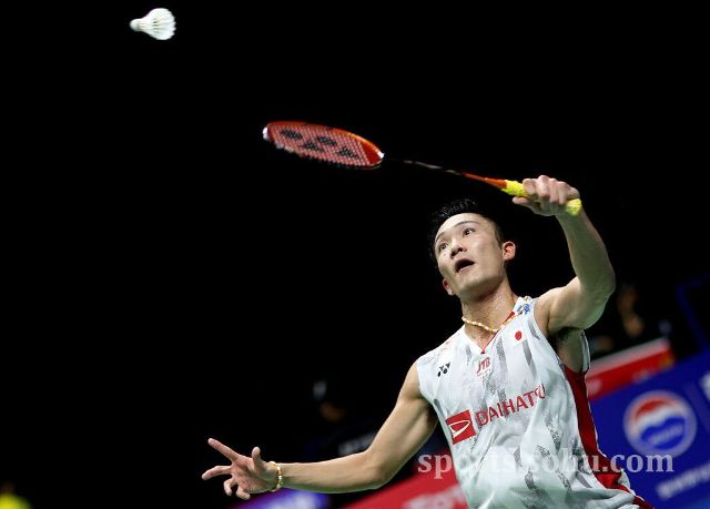 并不罕见 并不罕见